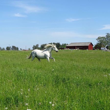 Broby Bed & Breakfast Nyköping Esterno foto